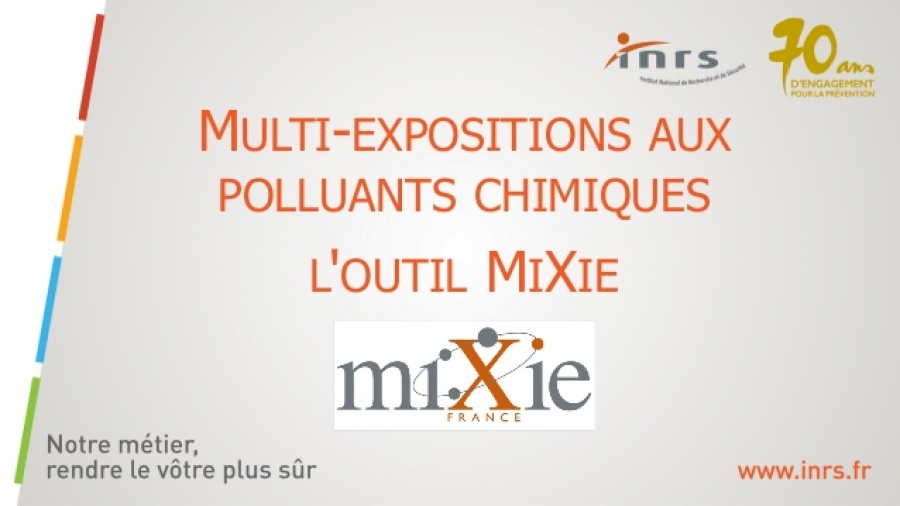 MIXIE-Una web para evaluar el riesgo qumico en caso de multiexposicin