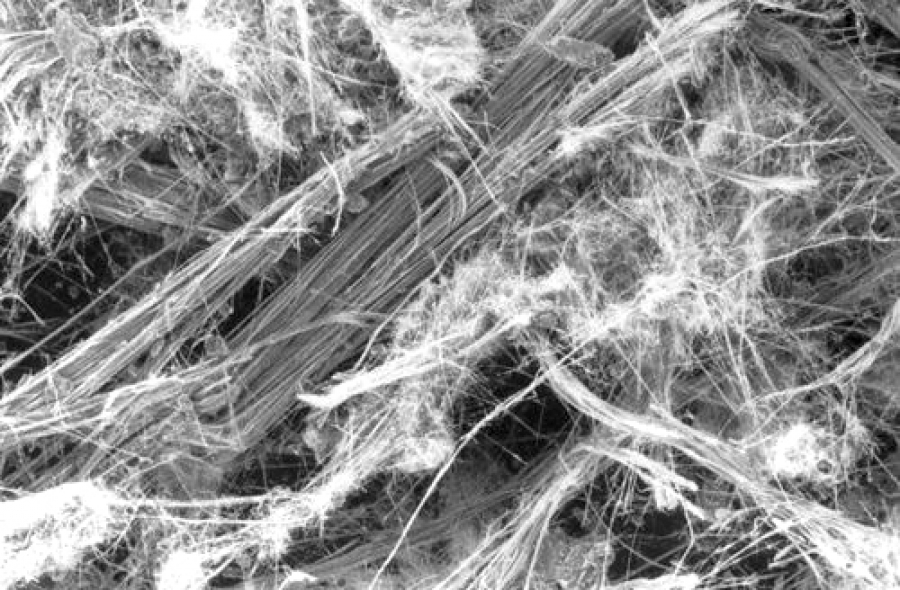 Fibras NanoCa y replicacin del dao por asbesto